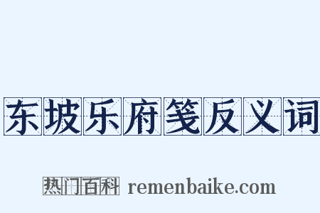东坡乐府笺反义词是什么意思的图片